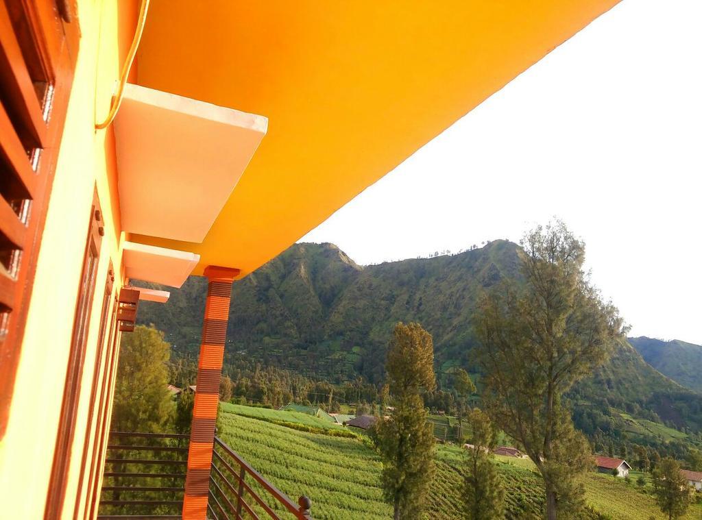 Bromo Otix Guest House Exterior photo