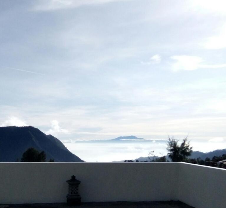 Bromo Otix Guest House Exterior photo